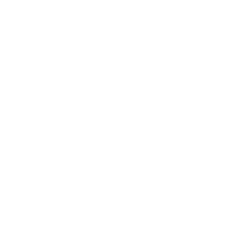 The Pinhook Logo